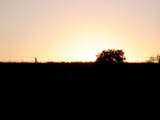 Sunset Over The Embankment (ii)
